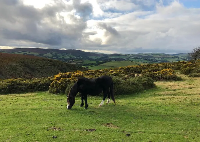 Offa'S Dyke Lodge B&B
